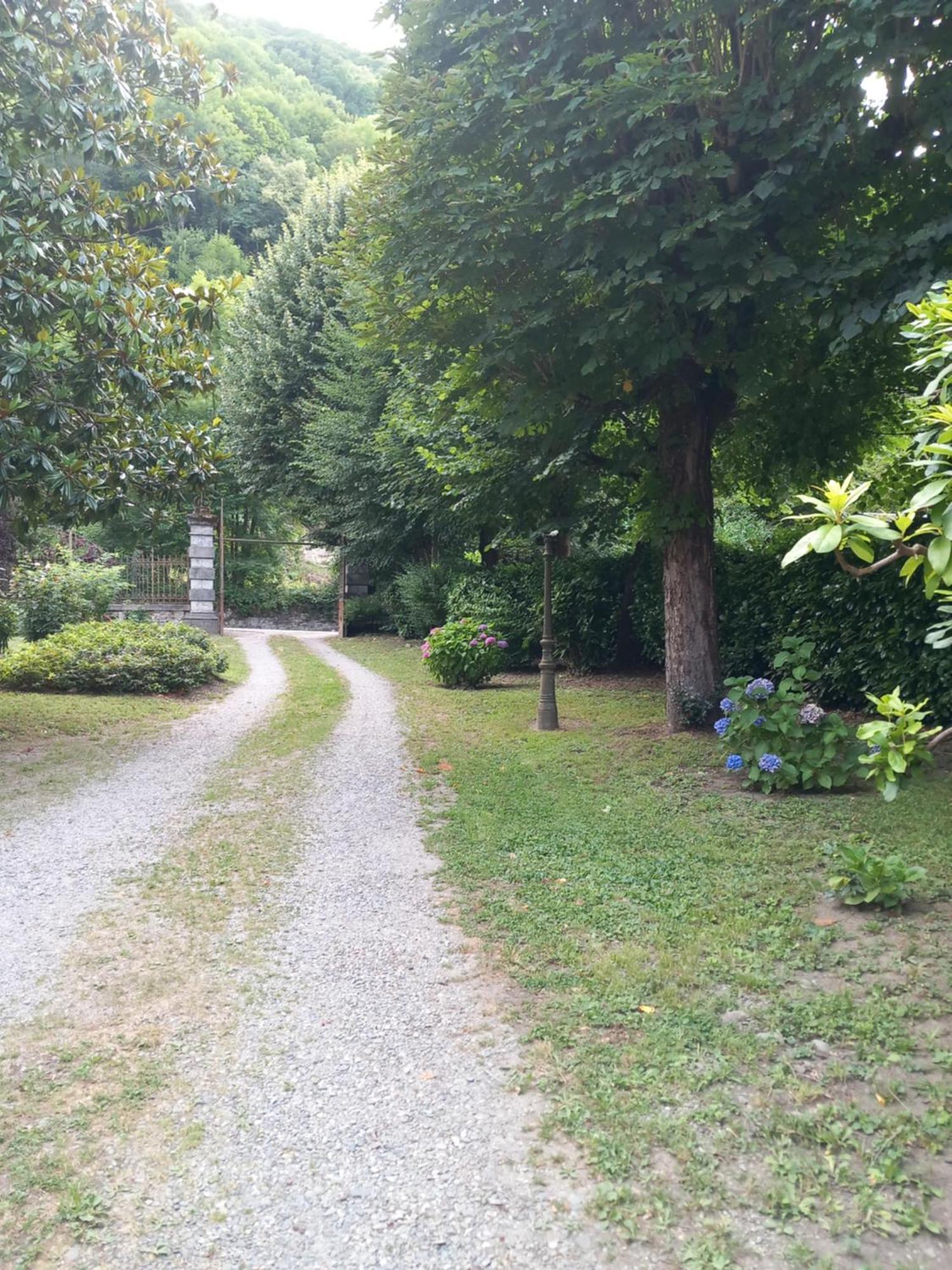 Du Lys